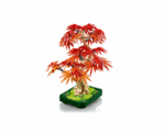 JAPANESE MAPLE TREE 10348 - Image 