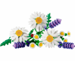 Daisies 11508 - Image 