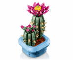 Flowering Cactus 11509 - Image 