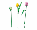 Tulip Bouquet - Image 
