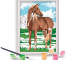 WILD HORSE PAINT AND FRAME BY NUMBERS - Image 