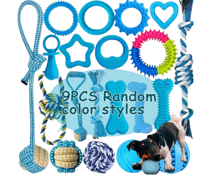 319 Heavy-Duty All-in-One Dog Chew Toy Set in 9pcs - Image 1