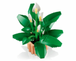 Peace Lily 11504 - Image 