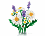 Daisies 11508 - Image 