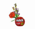 Max Premium Rose Collection - Image 
