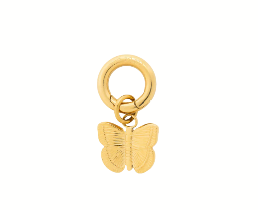 1 Born To Fly Charm - Image 1