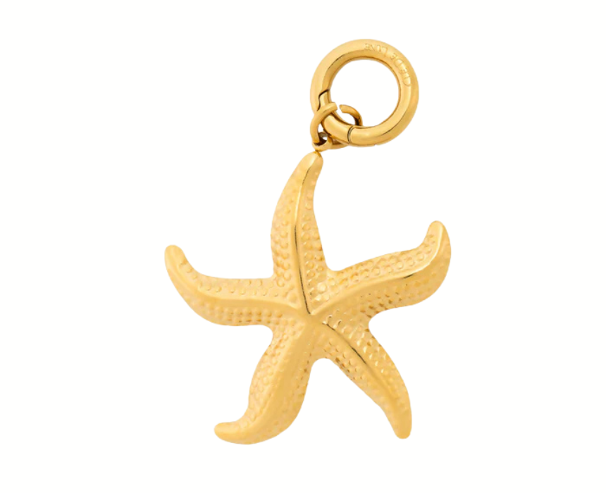 1 Etoile De Mer Charm - Image 1