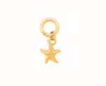 Ocean Starfish Charm - Image 
