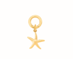 Sunlit Starfish Charm - Image 