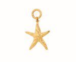 Coastal Star Charm - Image 