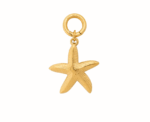 Golden Starfish Charm - Image 