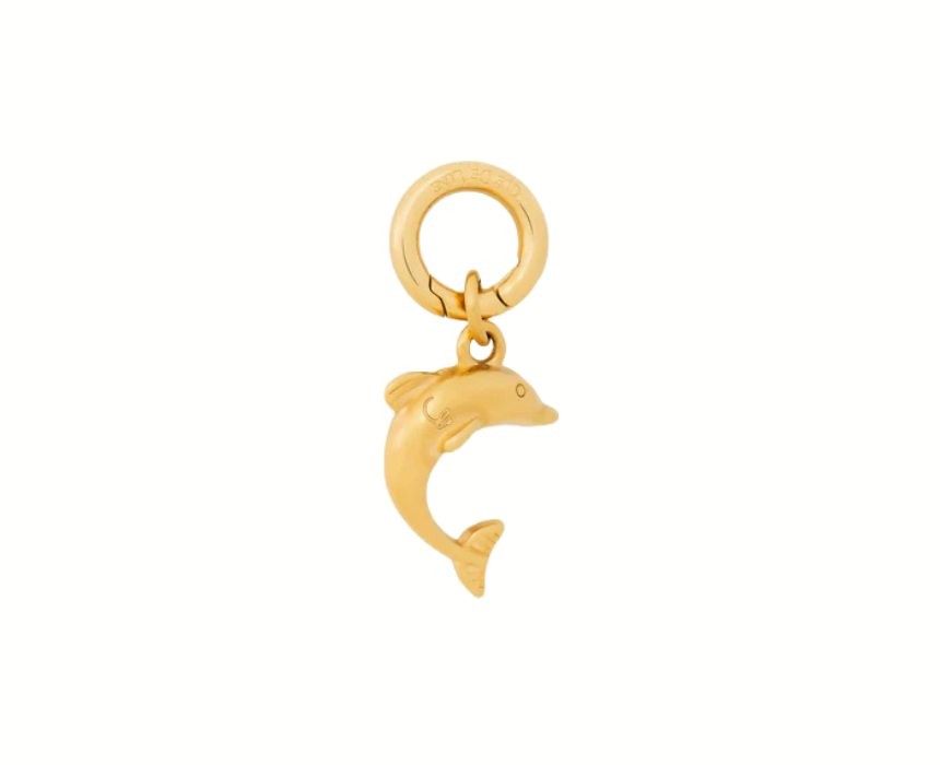 1 Dancing Dolphin Charm - Image 1
