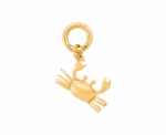 Sandy Claws Charm - Image 