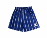 Striped Blue Mesh Shorts - Image 