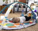 Musical Baby Play Gym Baby Einstein - Image 