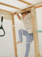 8-in-1 Children Climbing Gym Set - Image 