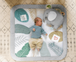 Baby Milestone Activity Play Mat - Image 
