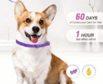 Dog Calming Pheromone Collar Set - Image 