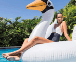 Large Swan Pool Float Intex - Image 