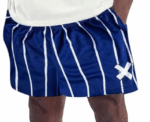 Striped Blue Mesh Shorts - Image 