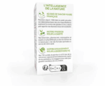 Ginkgo Memory Support Capsules - Image 