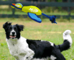 NerfDog Tug 11.5-Inch - Image 