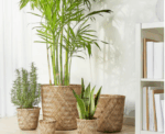 IKEA KLYNNON Plant Pot - Image 