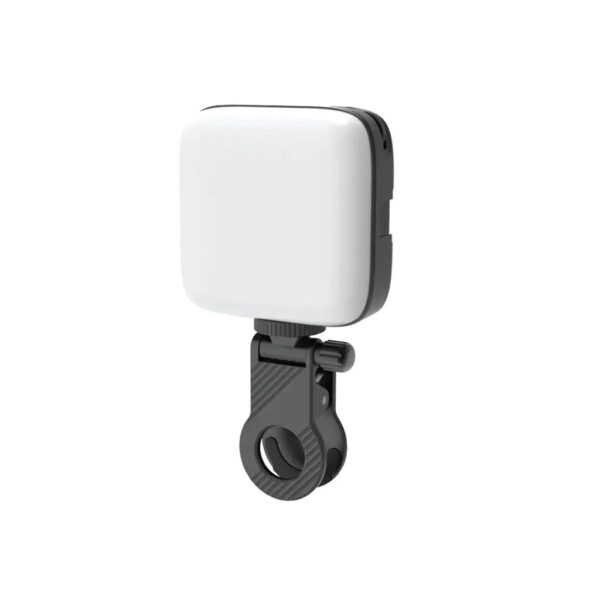 Green Lion Mini Snap Light - Black