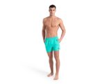 Men Beach Shorts Arena - Image 