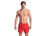 Men Beach Shorts Arena - Image 
