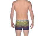 Arena Men Training Swimwear Daytrip Short - Image 