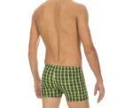 Arena Men Printed Check Short - Image 