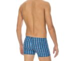 Arena Men Printed Check Short - Image 