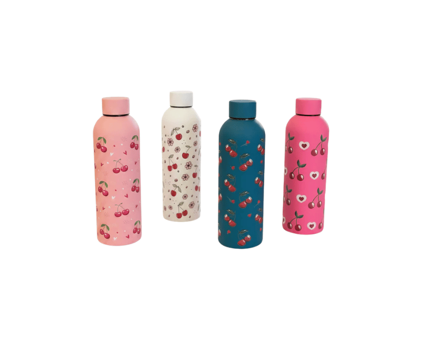 1 Insulated Stainless Steel Bottle - Image 1