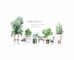 Green Plants Wall Decal Quote Home Decor - Image 