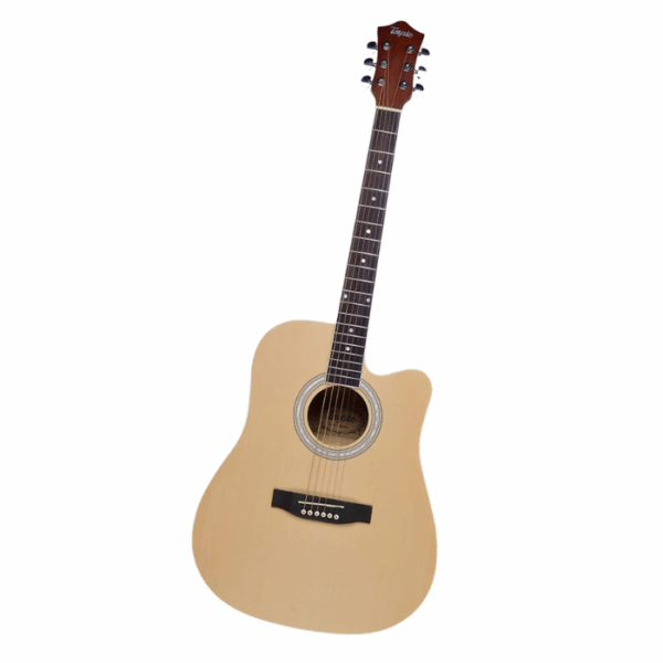 TAYSTE Guitar Acoustic