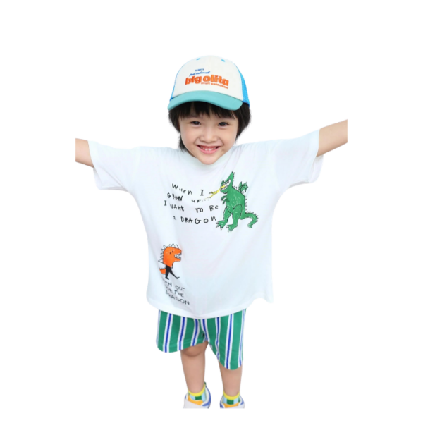 Boys Shorts T Shirt Set