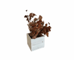 Wooden Decorative Storage Box - Image 