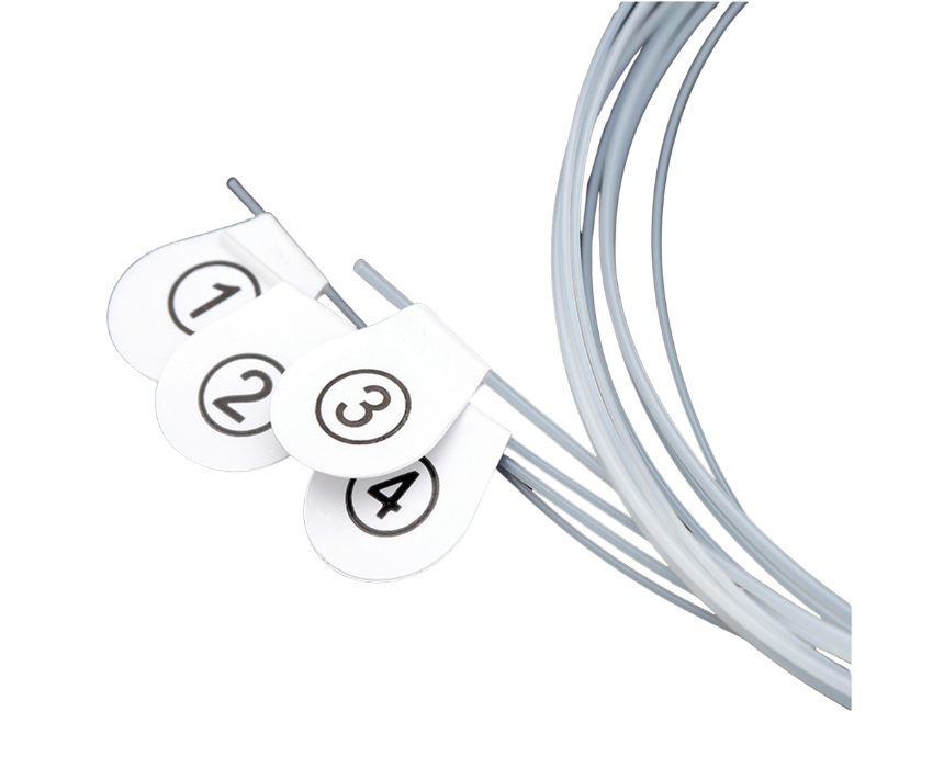 10 ROAD STRING UKULELE - Image 1