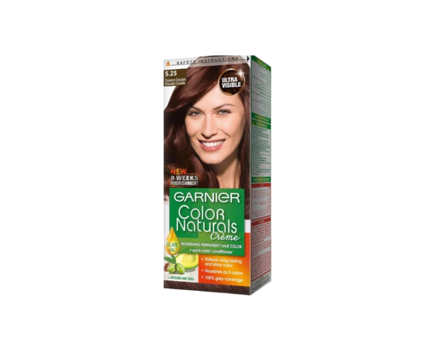 107 Garnier Cinnamon Chocolate Hair Color - Image 1