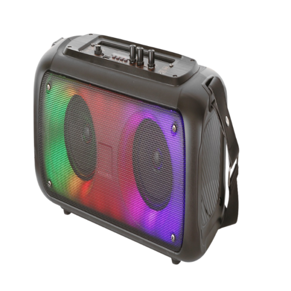 Portable Bluetooth Double Woofer Speaker