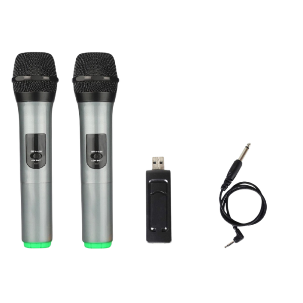 Langting UHF Dual Channel Wireless Handheld Microphones