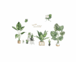 Kids Cactus Plants Wall Decal Quote Green - Image 
