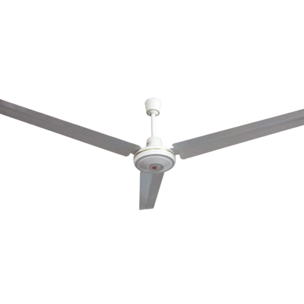 CROWN Ceiling Fan Large Blade