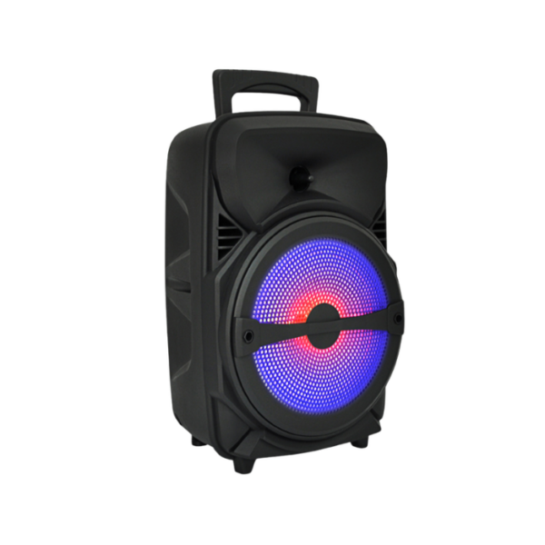 Soundtown LED Portable Karaoke Bluetooth Party Speaker