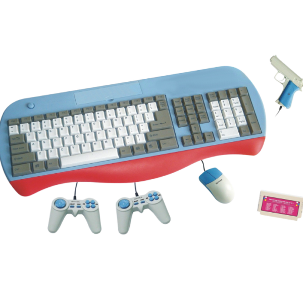 Professional Educational Computer Game