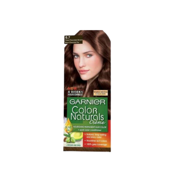 Garnier Chocolate Brown Hair Color