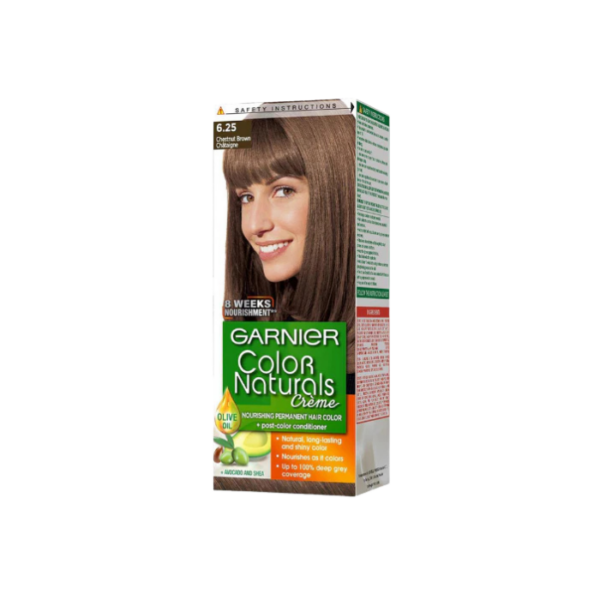 Garnier Chestnut Brown Hair Color