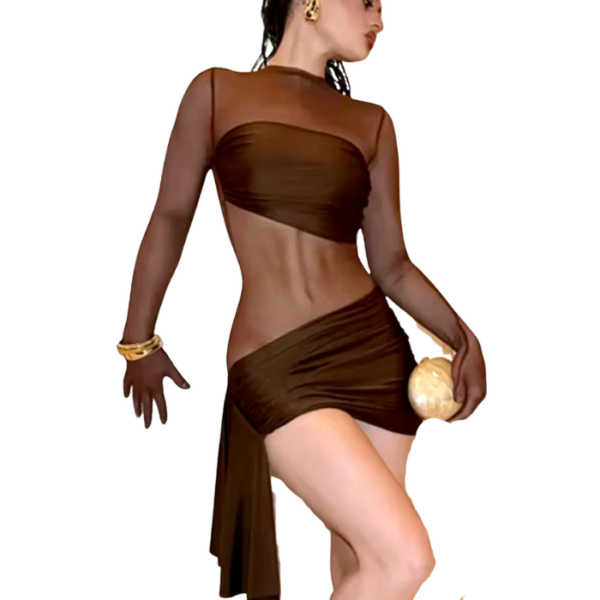 Mesh Mini Dress