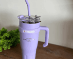 Insulated Stainless Steel Tumbler Sitarayuri - Image 